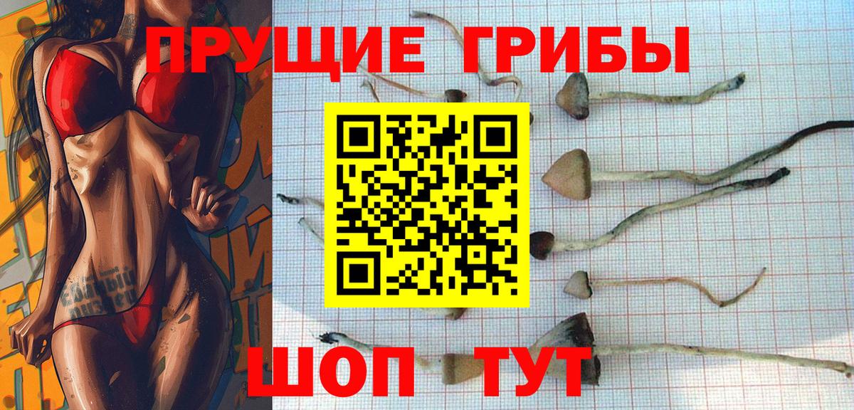 Псилоцибиновые грибы Magic Shrooms Бузулук